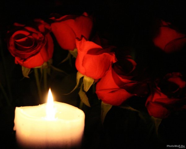 Стихи памяти