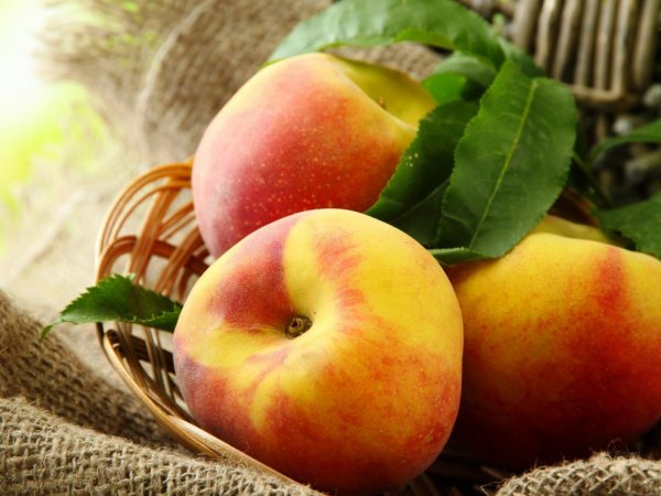 Зеленый персик