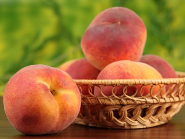 Персик сочный (3 года)