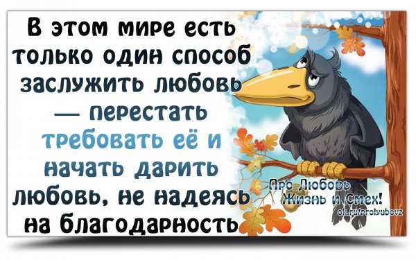 Прикольные статусы в картинках про жизнь