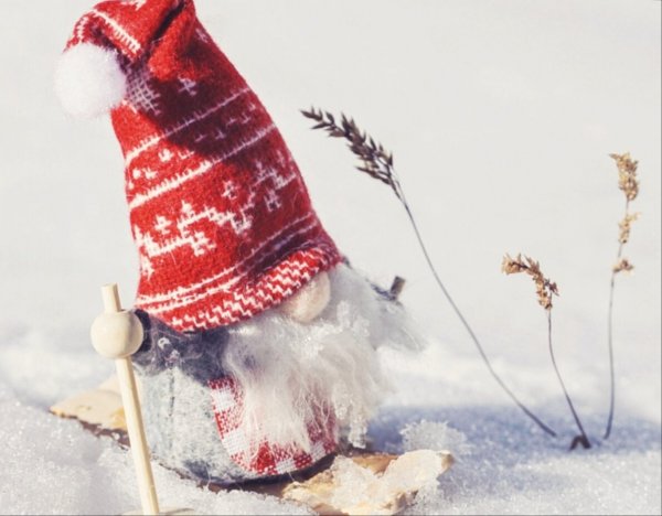 Народные приметы Прокопьев день