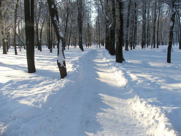 Петр полукорм 29 января