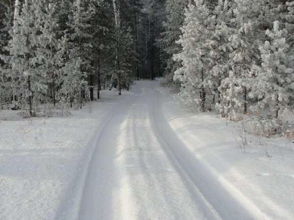 Зимнее солнцестояние