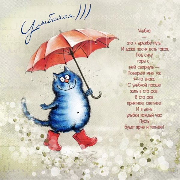 Открытки смешные на каждый день