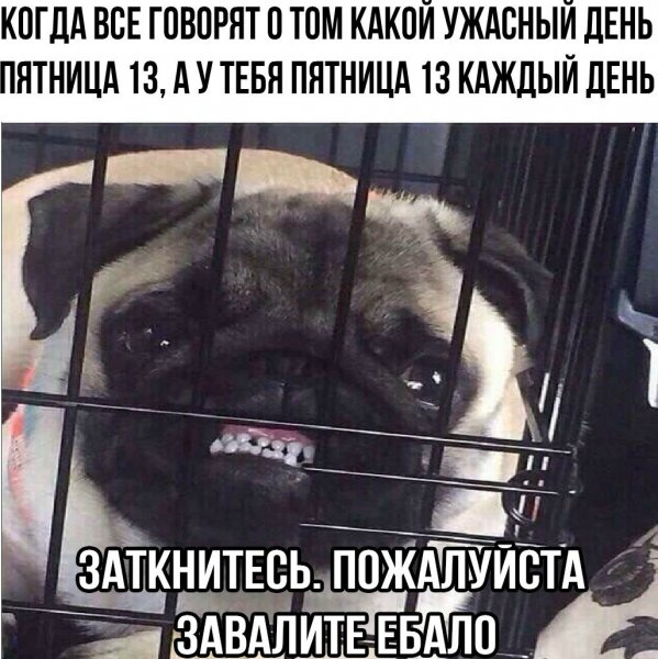 Сегодня самый ужасный день