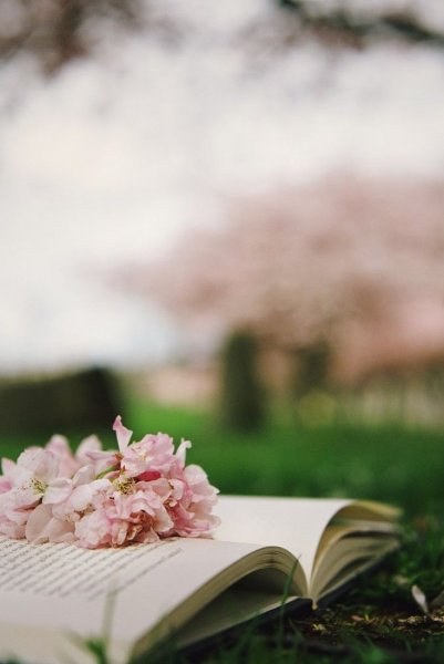 С добрым утром цитаты красивые