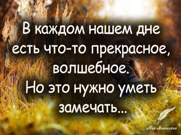 Позитивные цитаты