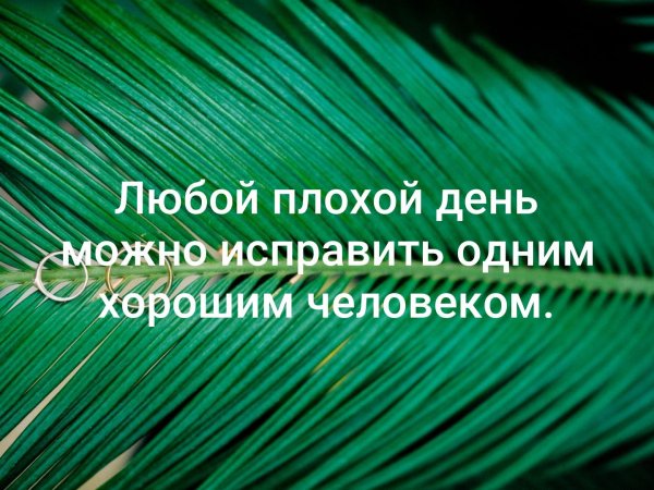 Любой плохой день можно исправить одним хорошим человеком