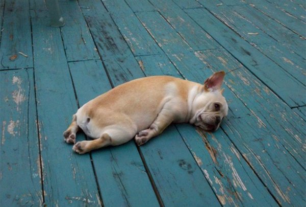 Похмелье приколы