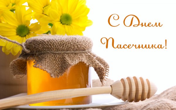 Пчеловодство в России