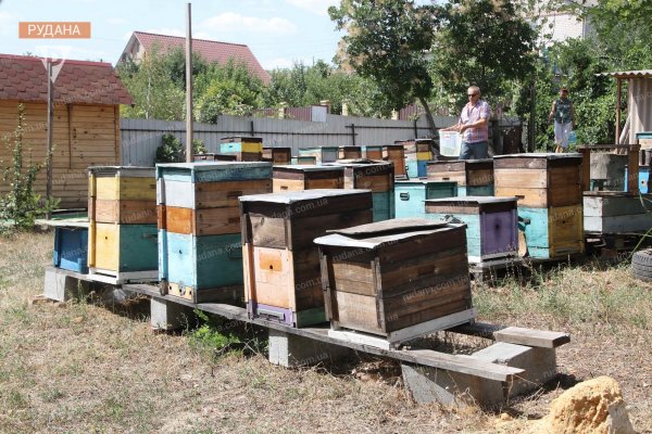 Медовый спас фон