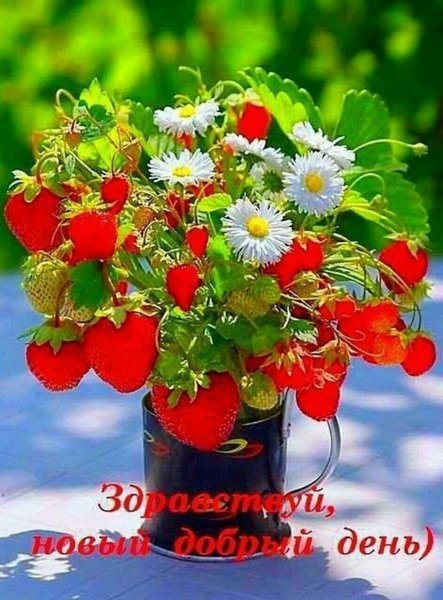 Здравствуй новыйэ день