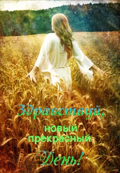 Здравствуй новый прекрасный день