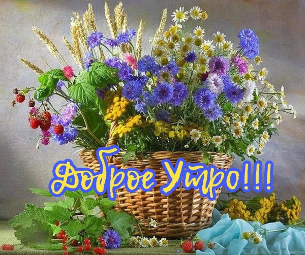 Открытки с добрым утром с цветами