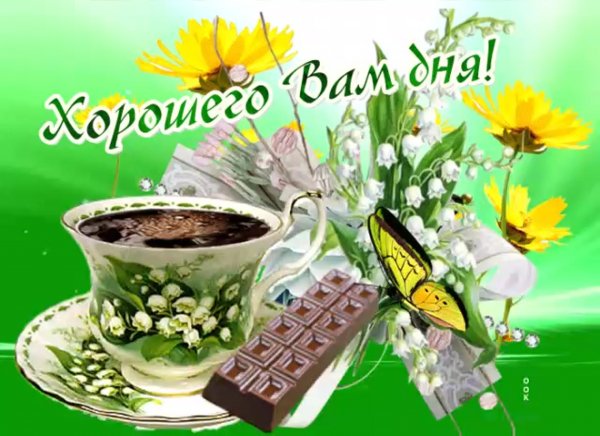 Здравствуйте , доброго вам дн