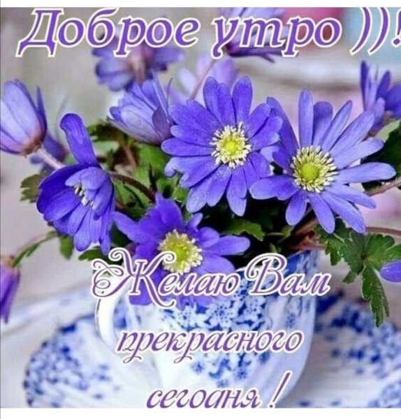 Доброе утро пусть день сложится