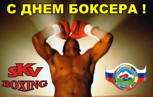 С днем боксера поздравления