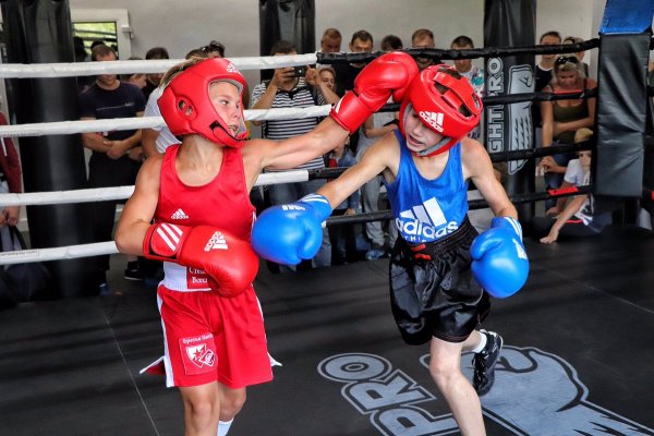 День российского бокса