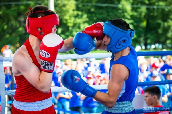 10 Сентября день бокса