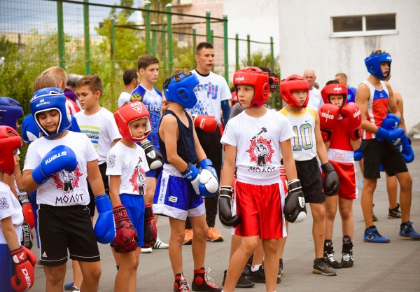 День бокса открытки