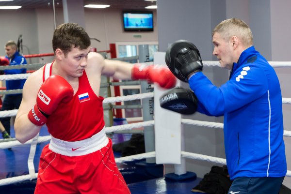 День боксера в России Дата