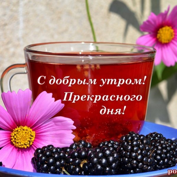 Доброе утро отличного дня