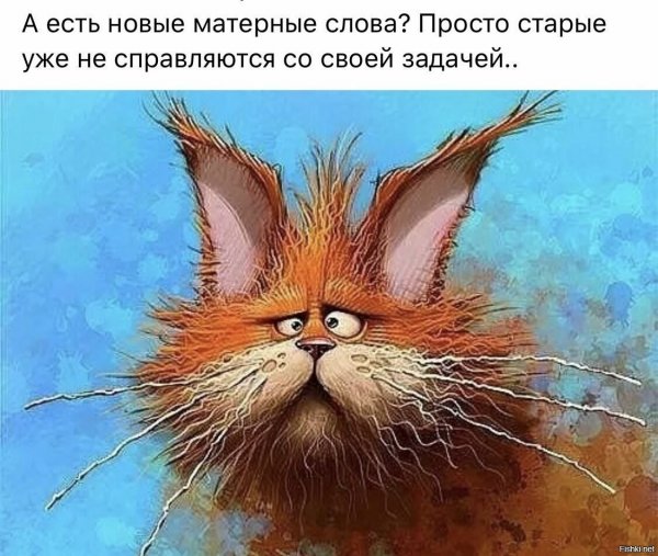 Шутки про среду