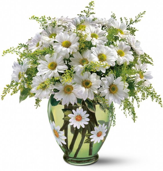 Букеты ромашек с пожеланиями