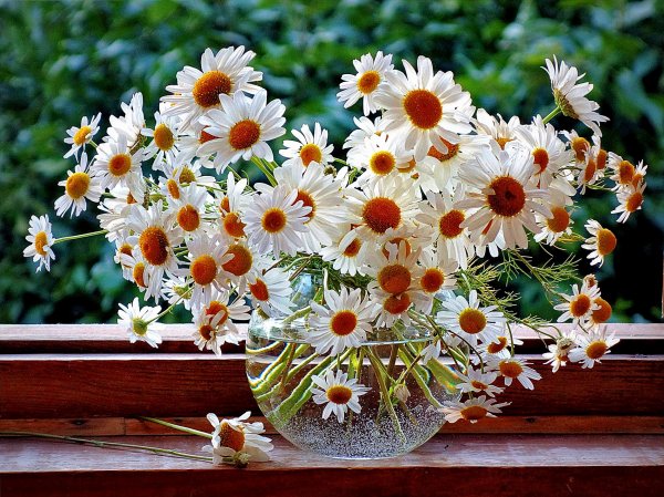 Шикарный букет ромашек