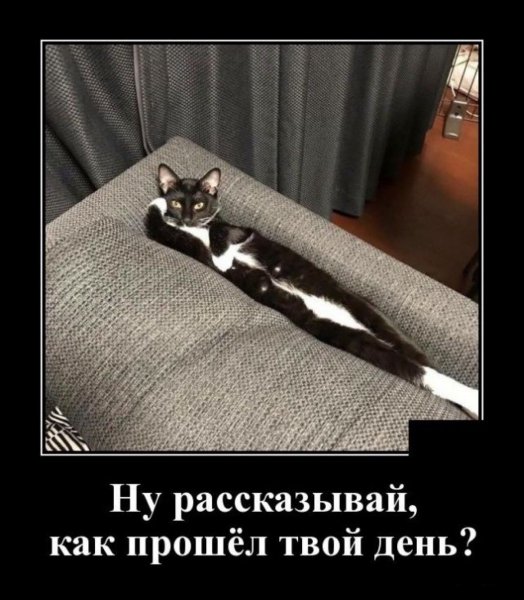 Как день прошёл картинки прикольные
