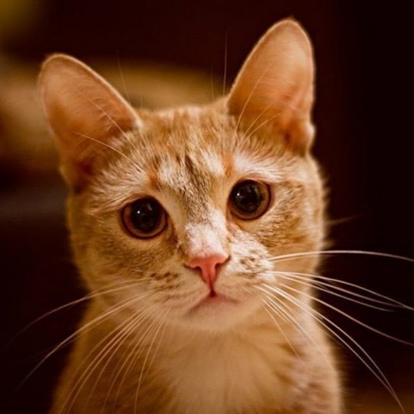 День прошел число сменилось