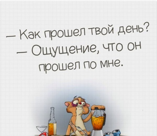 Как прошёл твой день