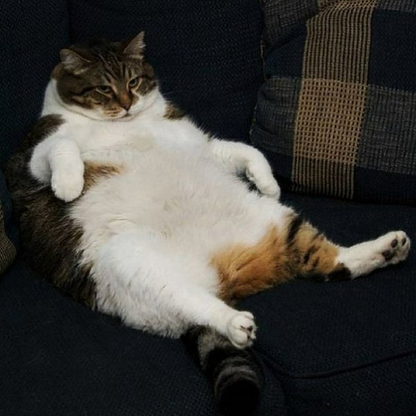 Таити Таити нас и здесь