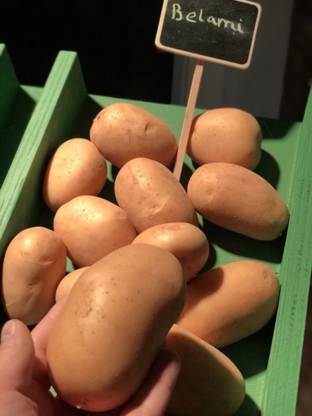 Праздник картофеля в России