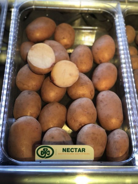 Сорт картофеля Бабынинская