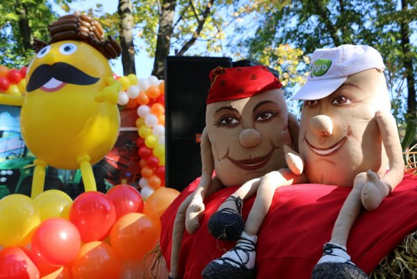 Выставка день картошки