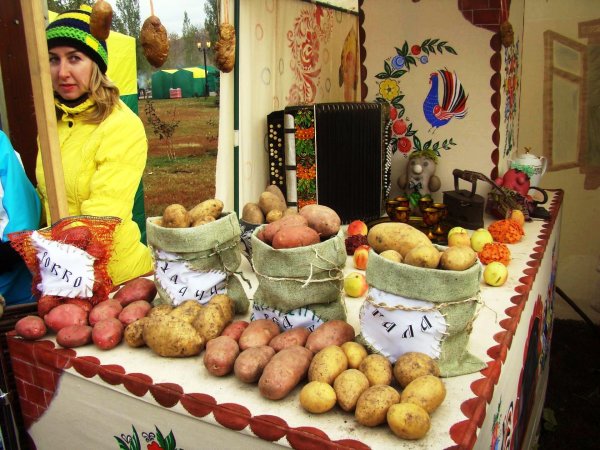 Осенняя ярмарка в деревне