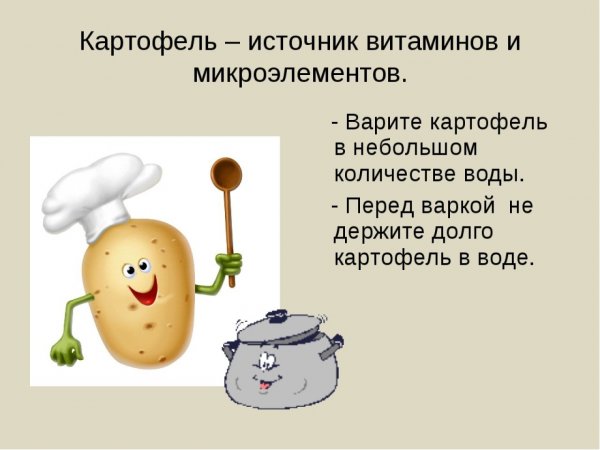 Фестиваль Тамбовской картошки Покровская ярмарка