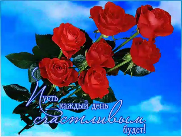 Красивые поздравления на каждый день