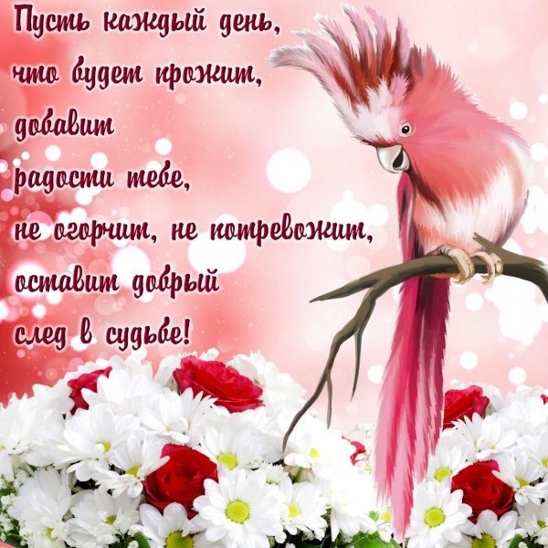 Пожелания на каждыйден