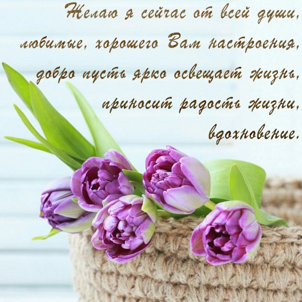 Приятные пожелания