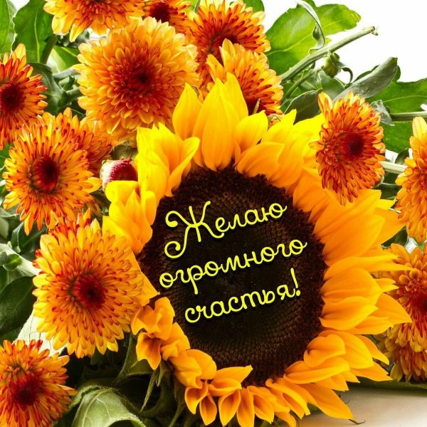 Желаем счастья