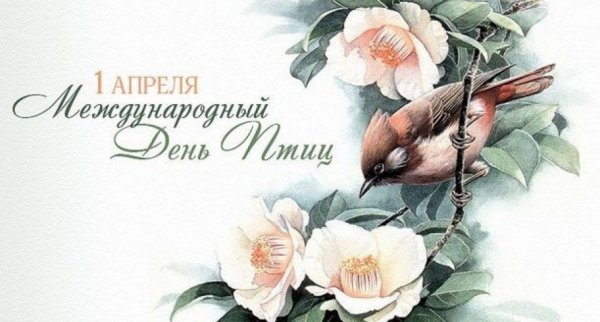 Всемирный день птиц