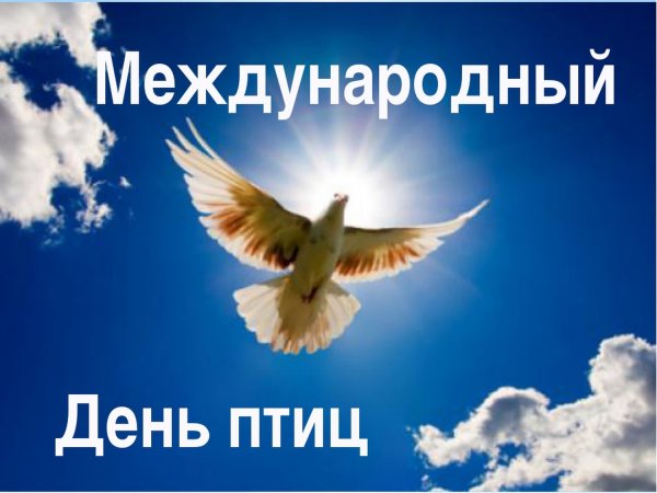 Междунар день птиц