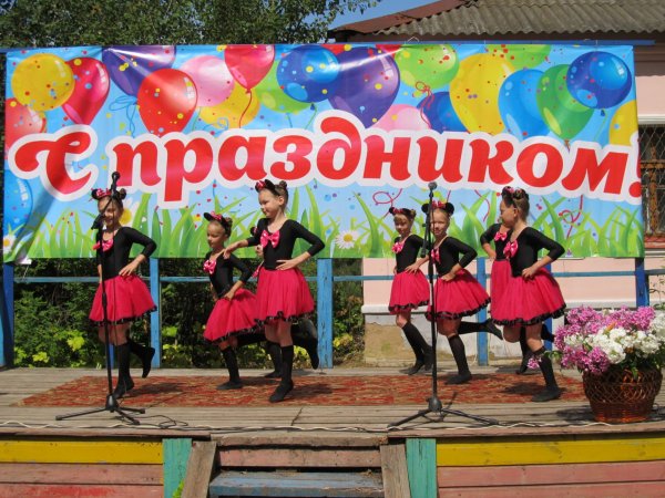 Баннер на день села