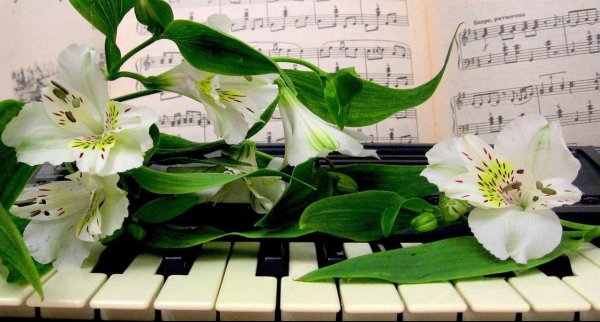 Открытки с днем музыки