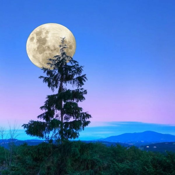 Девушка держит луну