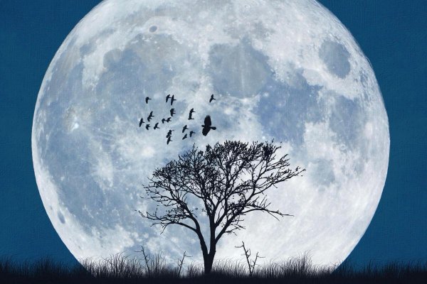 Новолуние растущая Луна