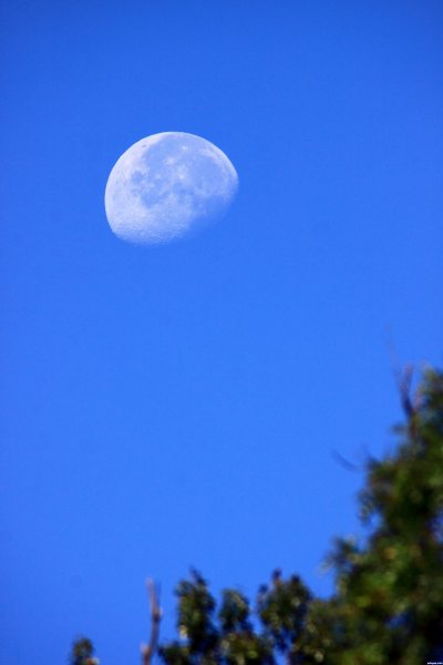 Магическая Луна