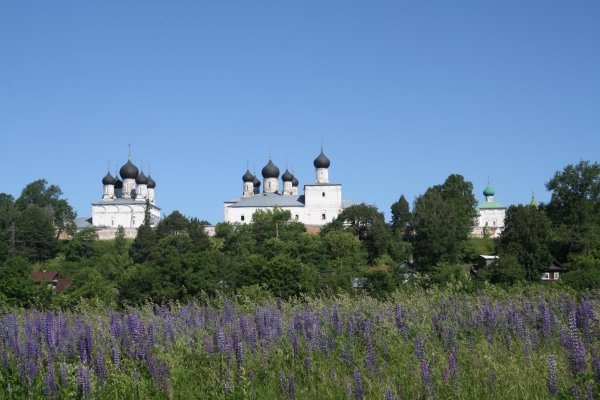 Макар Весноуказчик